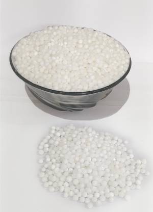 GUMBAZ Sabudana For Fasting Primium Sago Big Size 200 Sago