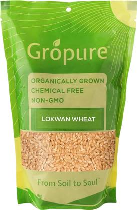 Gropure Organic GroPure Lokwan Whole Wheat