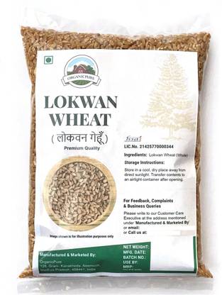 Organicpure Premium Quality MP Lokwan Whole Wheat