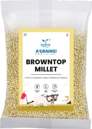 A'GRAINS! BROWNTOP Millets, Unploished Millets, Siridhanya,Natural Grains 450g Browntop Millet