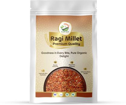 Simply Jaivik Ragi Millet – Naturally Grown Finger Millet, Rich in Calcium, Iron & Fiber Ragi