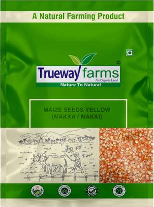 Trueway farms Corn Seeds (Maize Seeds) 2 kg Corn