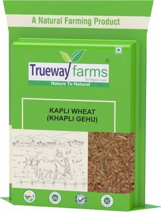Trueway farms Khapli Wheat (Khapli Gehu) - Emmer Wheat Whole Wheat