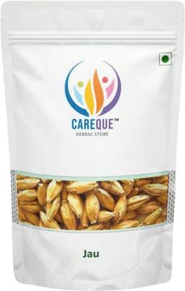 CareQue Barley Whole - Jau Sabut - Hordeum Vulgare Barley