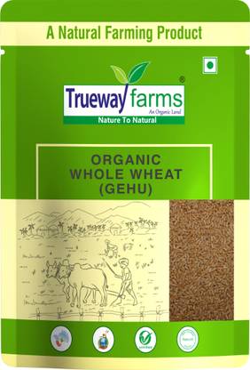 Trueway farms Organic Whole Wheat (Gehu) 5 kg Whole Wheat