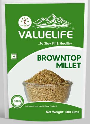 Value Life BROWN TOP MILLET Browntop Millet