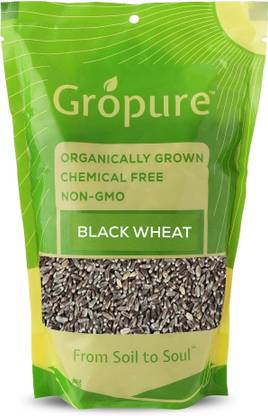 Gropure Organic Black Wheat Whole Wheat