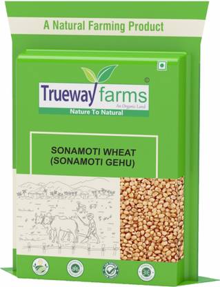 Trueway farms Organic Sonamoti Wheat (Sonamoti Gehu) Whole Wheat
