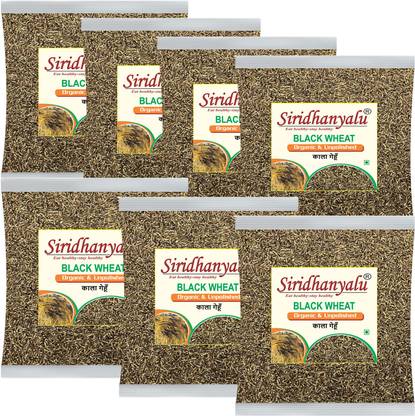 siridhanyalu Black Wheat Grain (7Kg) Whole Wheat