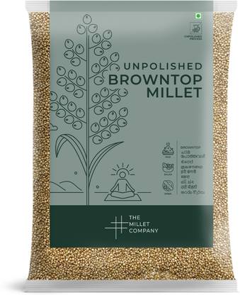 The Millet Company 1 kg Unpolished Browntop Millet, Korale, High Fibre Unpolished Millets, Healthy Food Alternatives Browntop Millet