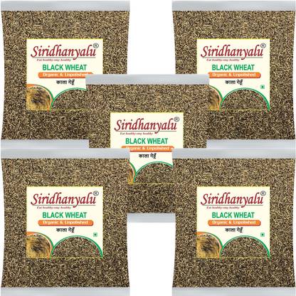 siridhanyalu Black Wheat Grain (5Kg) Whole Wheat