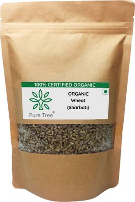 Pure Tree Certified Organic Wheat MP Sihori | Sihori Gehu | Whole Wheat Grain | Gehun Whole Wheat