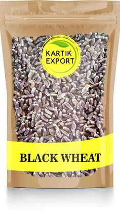 Kartik Export Whole Black Wheat Seeds - Kala Gehu - Seeds for Eating & Cooking Whole Wheat