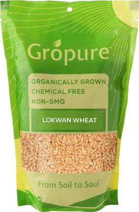 Gropure Organic GroPure Lokwan Whole Wheat