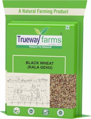 Trueway farms Organic Black Wheat (Kala Gehu) Whole Wheat