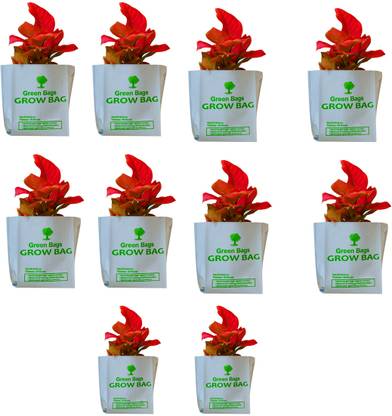 nilahub LDPE Grow Bags, Reusable, Set of - 10, Grow Bag