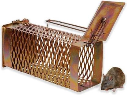 Yooko Rat Trap Cage Iron Mesh Design (21 X 9X 8.5 cm) Pinjra Chuhedaan (Small) Bun