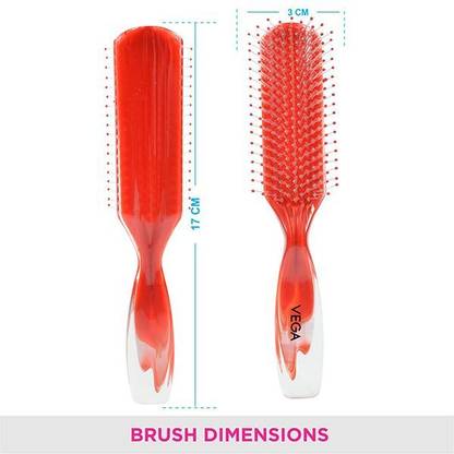 VEGA Compact Brush - R4-FBS Pack of 2
