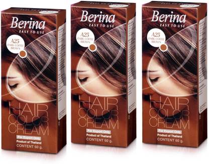 Berina Professional | Permanent Hair Color Cream with Developer | Long Lasting Color | , Dark Coffee Brown
