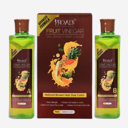PRO ADS Fruit Vinegar Natural Brown Hair Gel Color 500mlx2_C_069 , Natural Brown