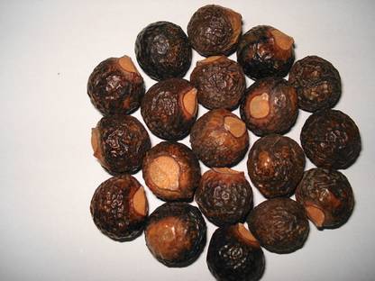 JKB TRADERS Areetha / Ritha / Reetha / Soap Nut / Kunkudukai / Sapindus Mukorossi – 200g