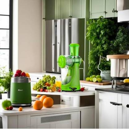 MICRO BELIEVE Plastic Plastic Fruit Juicer Making Machine with Steel Handle Hand Juicer