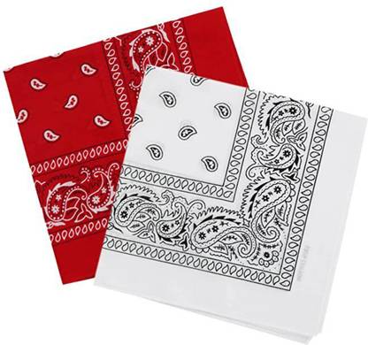 Bismaadh Cotton Paisley Pattern Bandana, Scarf and Handkerchief for Men & Women ["Red","White"] Handkerchief