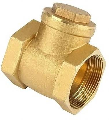 Implemental Horizontal Check Valve/Non Return Valve Horizontal Lift Screwed (25 MM) Ball Valves