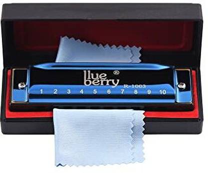 BLUEBERRY R-1003 Key of C 10 Holes 20 Tones Blues Harp Diatonic Mouth Organ Harmonica