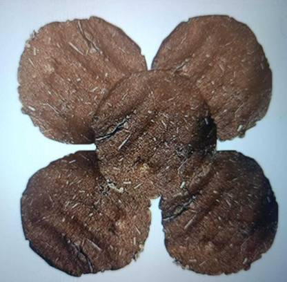 Shrikanta Cow Dung_01