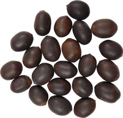 manjushanatural kamal gatta Lotus Seeds Sacred Beads Kamal Kakdi 100gm