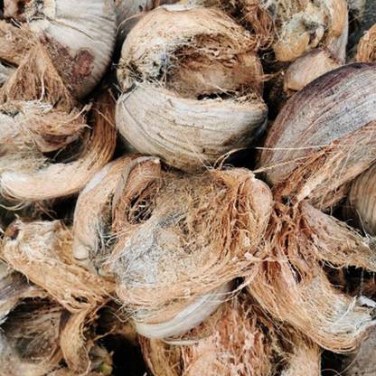 VIKITSU 1kg 100% Natural Coconut Husk for Puja, Religious Rituals & Eco-Friendly Use