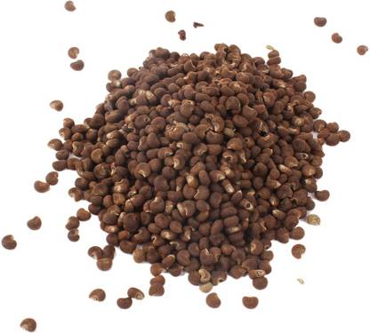 Rudra Centre Mushak Dana - 50 gms