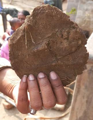 VILLAGE COW DUNG DESI GOBAR -100% Pure & Orginal Cow Dung Cake