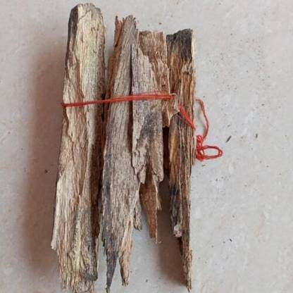 Prakhar Krishna Tripathi Mango Tree Wood MW-W16810