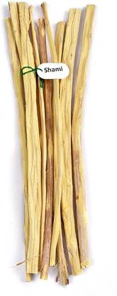 Rudra Centre Shami for Saturn (Shani) Puja