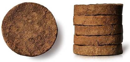 holy haven holy have pure cow dunk cake / hadmade gobar ke upale/kande (pack of 5 piece)