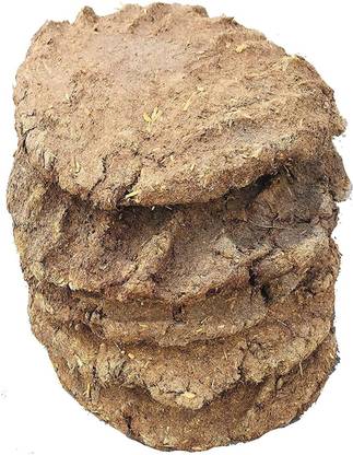rakhibazaar Gir Cow Dung ( Channa Gobar / Upla ) ( Pack Of 11 )