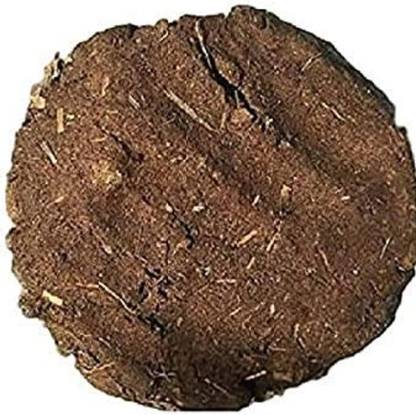 VERTICAL FOR COW DUNG COW DUNG 01