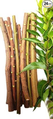 LogpriShopping Neem ki Datun Toothbrush Neem Tree Twigs Chew Sticks for Brushing, (Pack of 24)