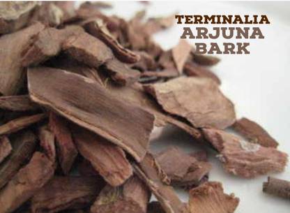 SS520 Arjun chhal-arjun Bark-Arjun ki Chal dried Terminalia Arjuna 50 gm