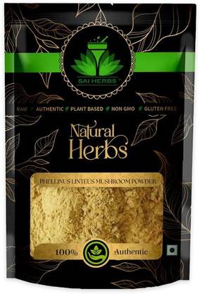 SAI HERBS Phellinus Linteus Mushroom Powder - Pure & Natural