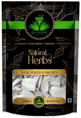 SAI HERBS Samunder Fan | Samunder Jhaag | Sepiae Os