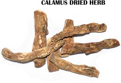 HERBS AND AYURVEDA 100 gram Dried Vasambu | Vacha Root | Acrous Calamus | HOODOO AND SPELL HERB