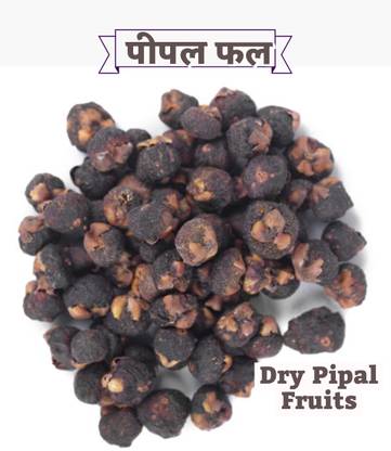 SS520 Dried Pipal Phal 100g. Peepal Fal Pipal Tree Fruits Ficus religiosa