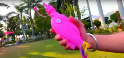 TOTA Squeeze Fish Water Holi Gadget Holi Color Powder Pack of 1