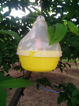 S K Agrotech Mac Phill pheromone insect Trap used for fruit fly & melon fly (Pack of 05) Silicone Wet and Dry Brush