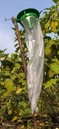 S K Agrotech Funnel agriculture insect phermone trap for all type moths pest