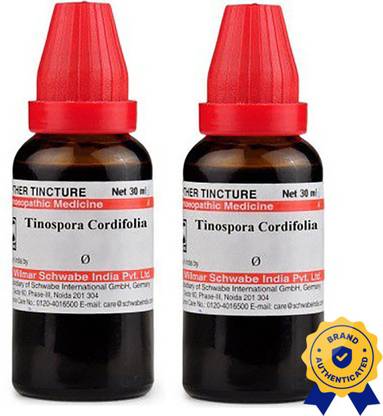 Dr.Willmar Schwabe India Tinospora Cordifolia Q Liquid