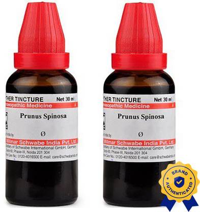 Dr.Willmar Schwabe India Prunus Spinosa Q Liquid